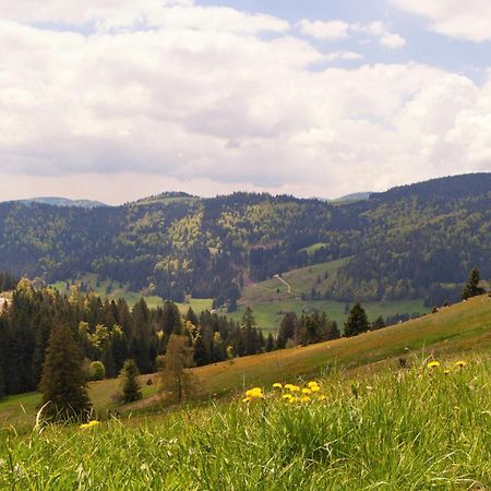 Auszeit Apartment: Black Forest Retreat with Balcony Views Schoenwald im Schwarzwald Exterior photo