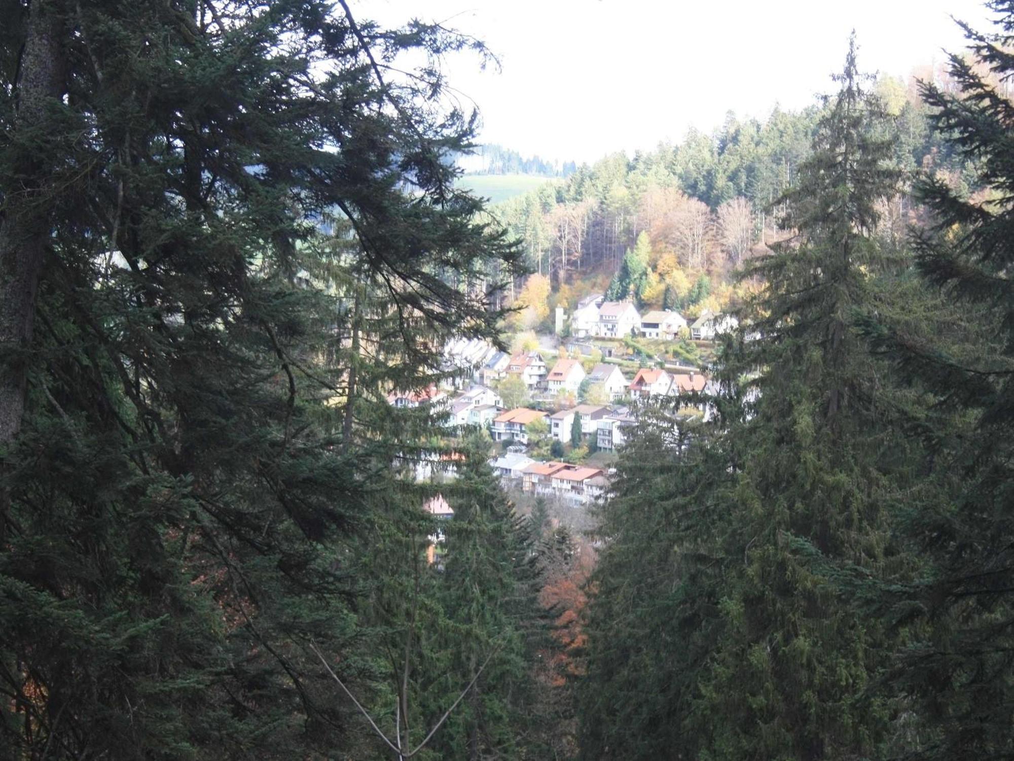 Auszeit Apartment: Black Forest Retreat with Balcony Views Schoenwald im Schwarzwald Exterior photo